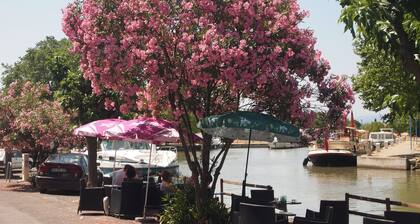 Beautiful air-con villa with private pool
In the canal-side village of Homps