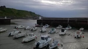 Ein Bootswerft mit zahlreichen vor Anker liegenden Booten, ein großes Gebäude im Hintergrund und eine hügelige Landschaft.