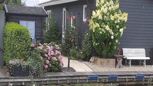 A house with a garden, a pond with lily pads, and a bench. - Canal-Side Stay, Giethoorn (Giethoorn)