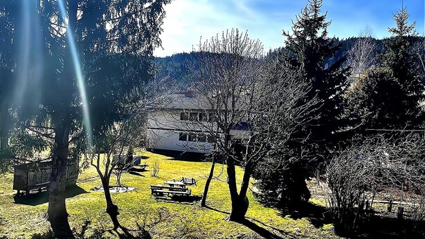 A house surrounded by trees and a clear sky. - Chalet in Flattnitz near Ski Slopes & Lakes (Karnten)