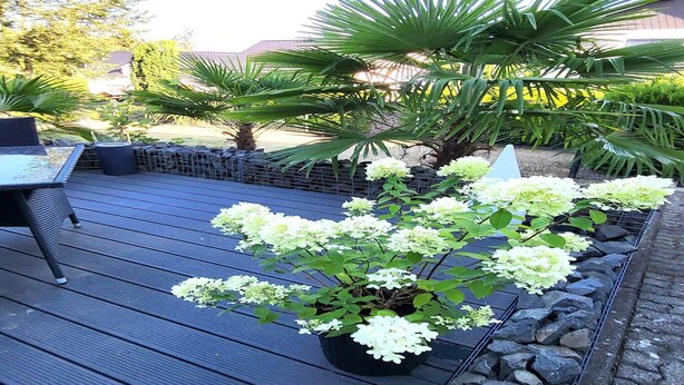 Una terraza de madera con una planta en maceta y una silla de metal.