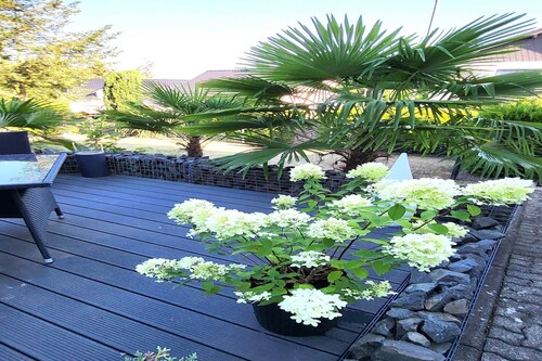 Koninklijk appartement in Pracht met tuin en grill