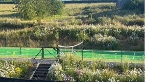Un terrain de sport entouré d’une clôture en filet, une zone herbeuse parsemée de fleurs sauvages et un arbre en arrière-plan.