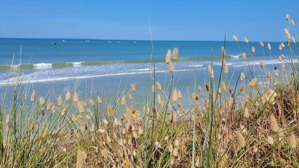 Une plage avec des vagues, des bateaux et de hautes herbes.