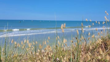 A beach with waves, boats, and tall grasses.