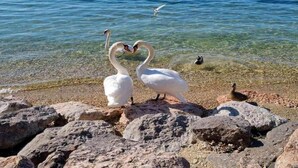 Una spiaggia nelle vicinanze