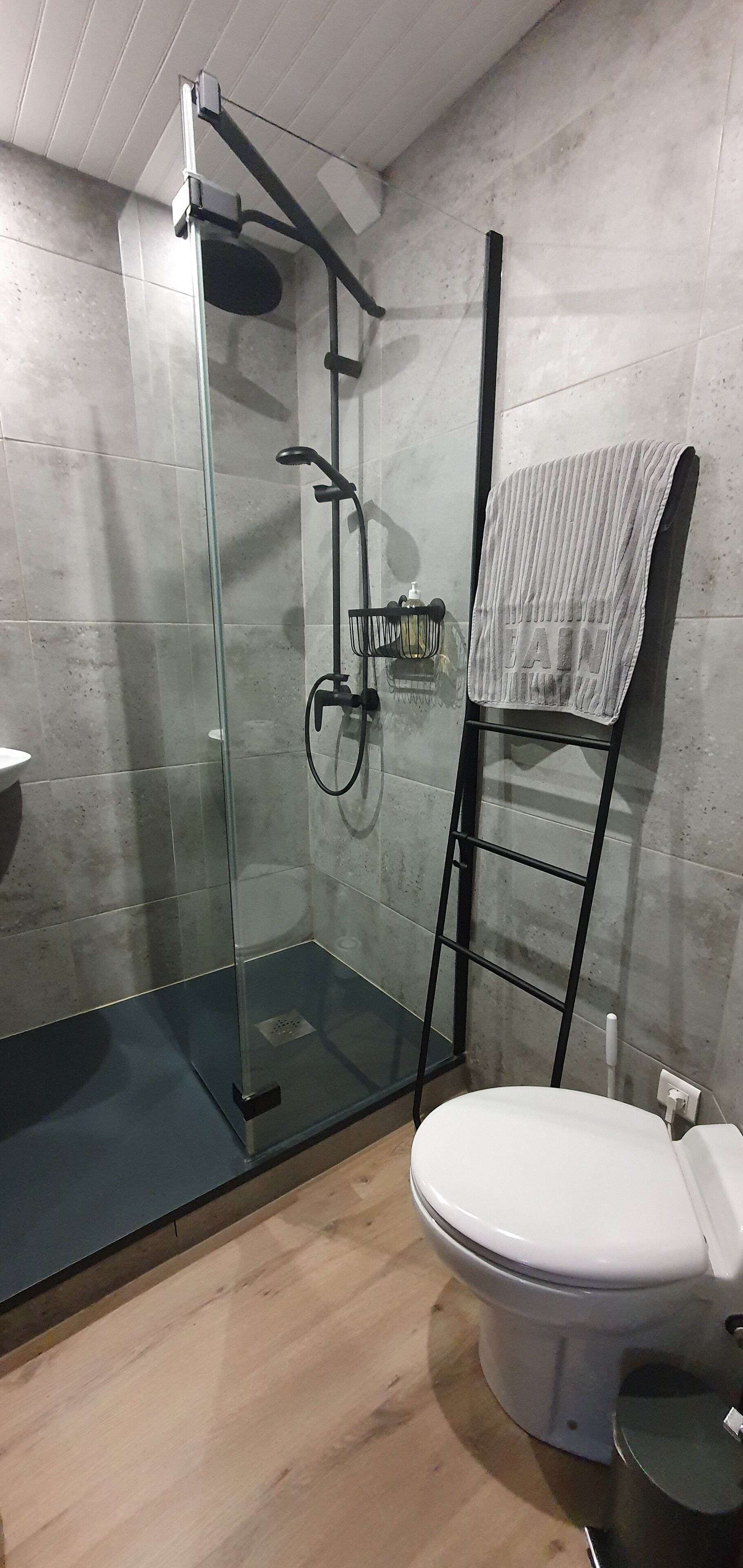Et badeværelse med et brusebad i glas, toilet og et håndklædestativ.