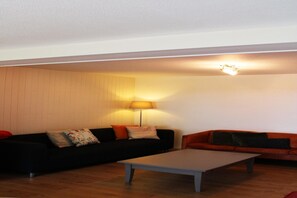 TV connectée, cheminée, baby-foot, table de tennis de table