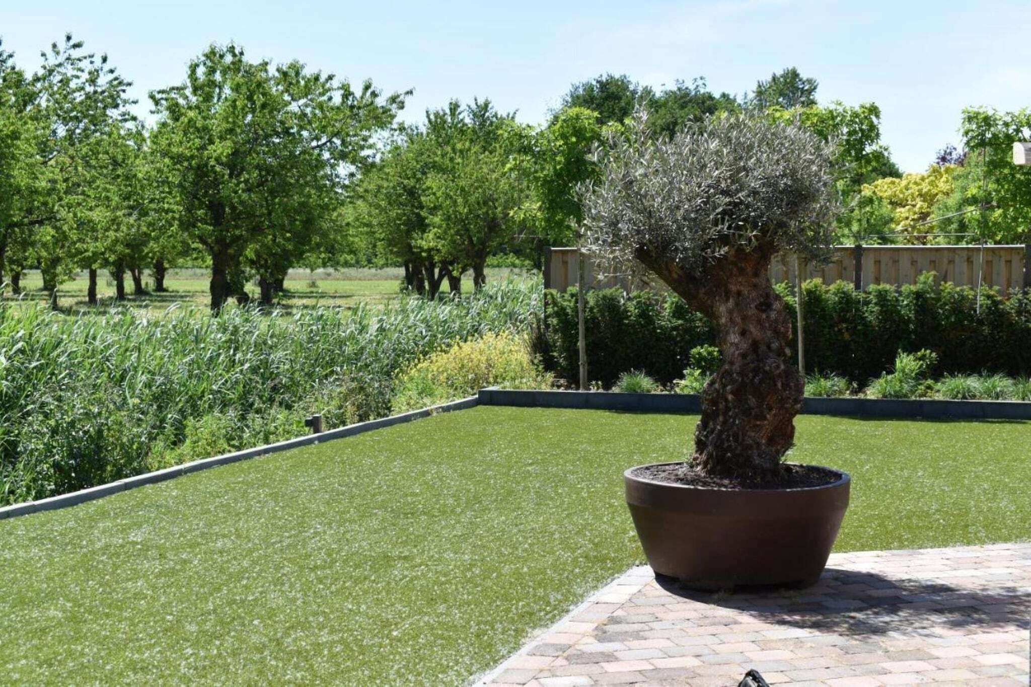 Terrein van de accommodatie