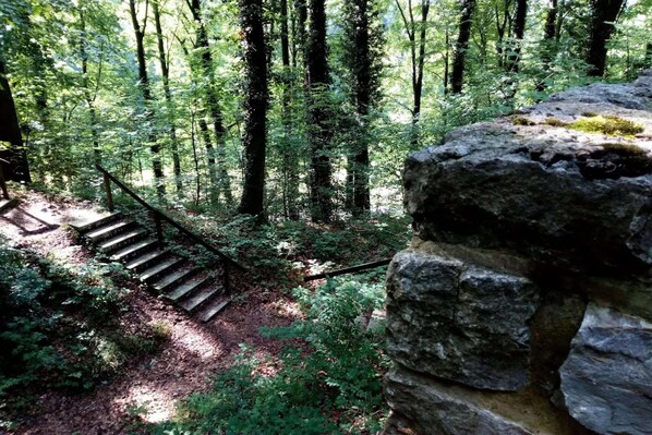 Parco della struttura