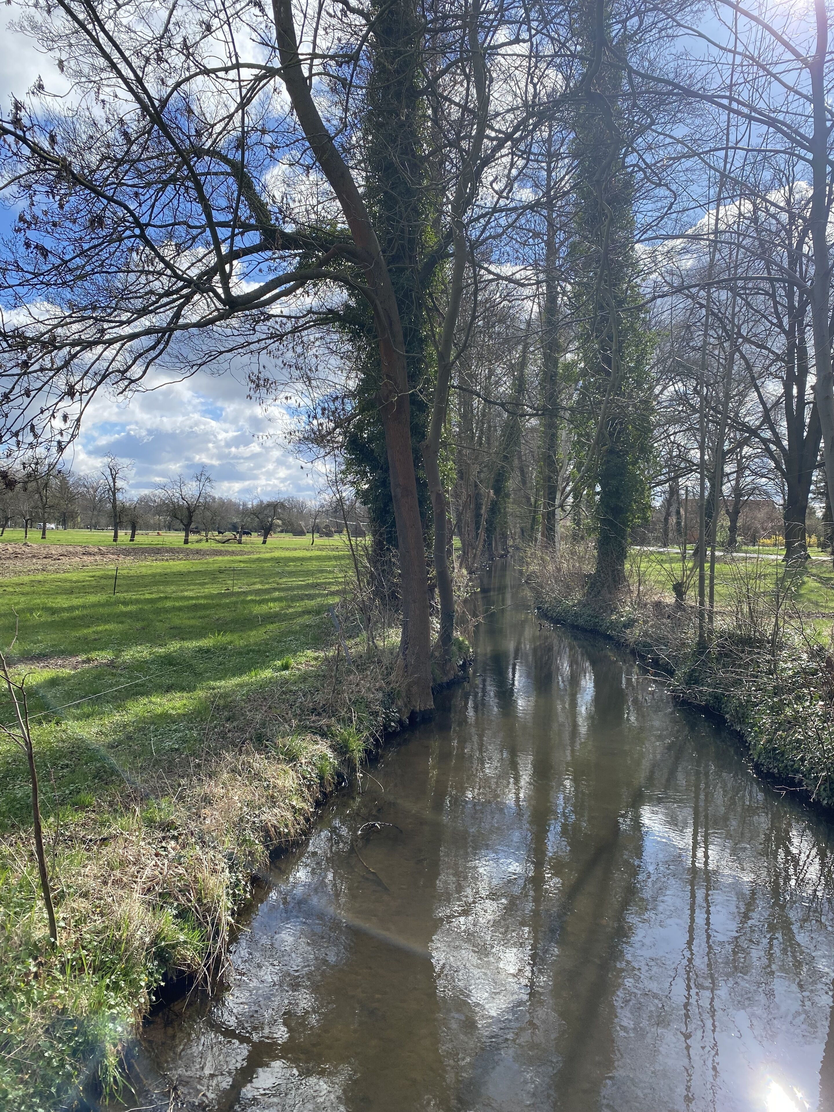 Une rivière paisible, bordée d’arbres des deux côtés, et entourée de vastes champs ouverts.