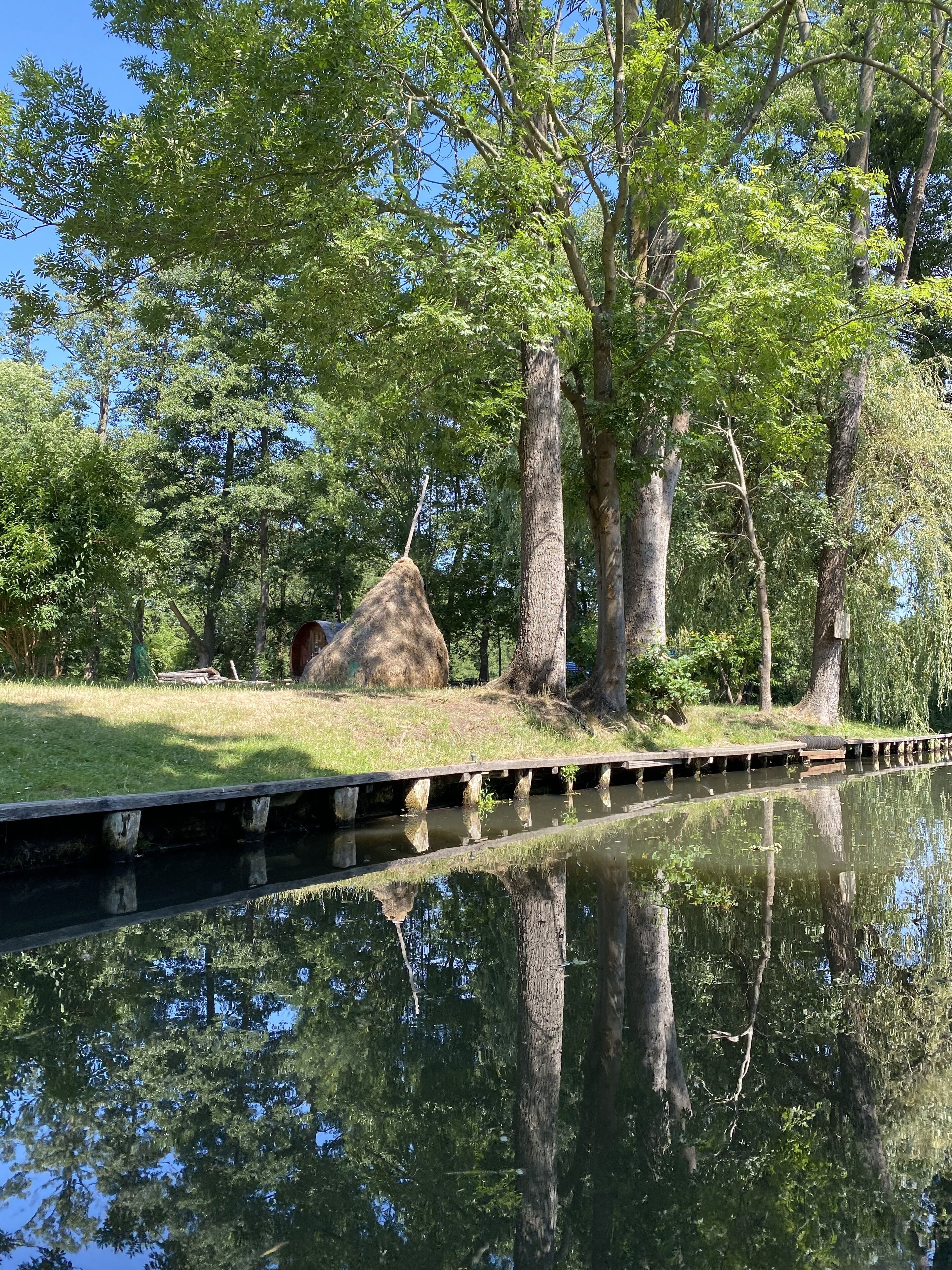 Un cuerpo de agua tranquila que refleja árboles y un puente de madera.