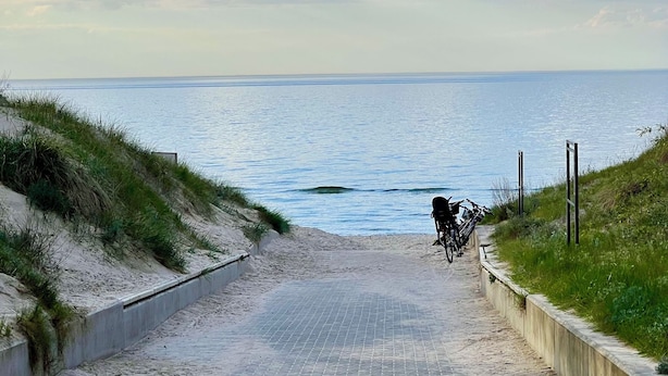 Un camino pavimentado que conduce a una playa, con una bicicleta estacionada al costado.