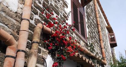 DELIGHTFUL APARTMENT WITH GARDEN IN ANCIENT BAGLIO A FEW STEPS FROM THE SQUARE