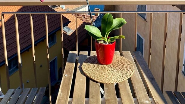 A balcony with a wooden table, a red pot with a green plant, and a purple orchid. - Casa Spasù: charming corner with a view 5 minutes from Cannobio, Lake Maggiore (San Bartolomeo)