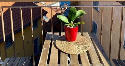 Casa Spasù: charming corner with a view 5 minutes from Cannobio, Lake Maggiore