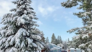 A snow-covered landscape with a house and several trees. - Bend Home w/ Fire Pit, 4 Mi to High Desert Museum! (Bend)