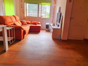 TV connectée, cheminée, livres