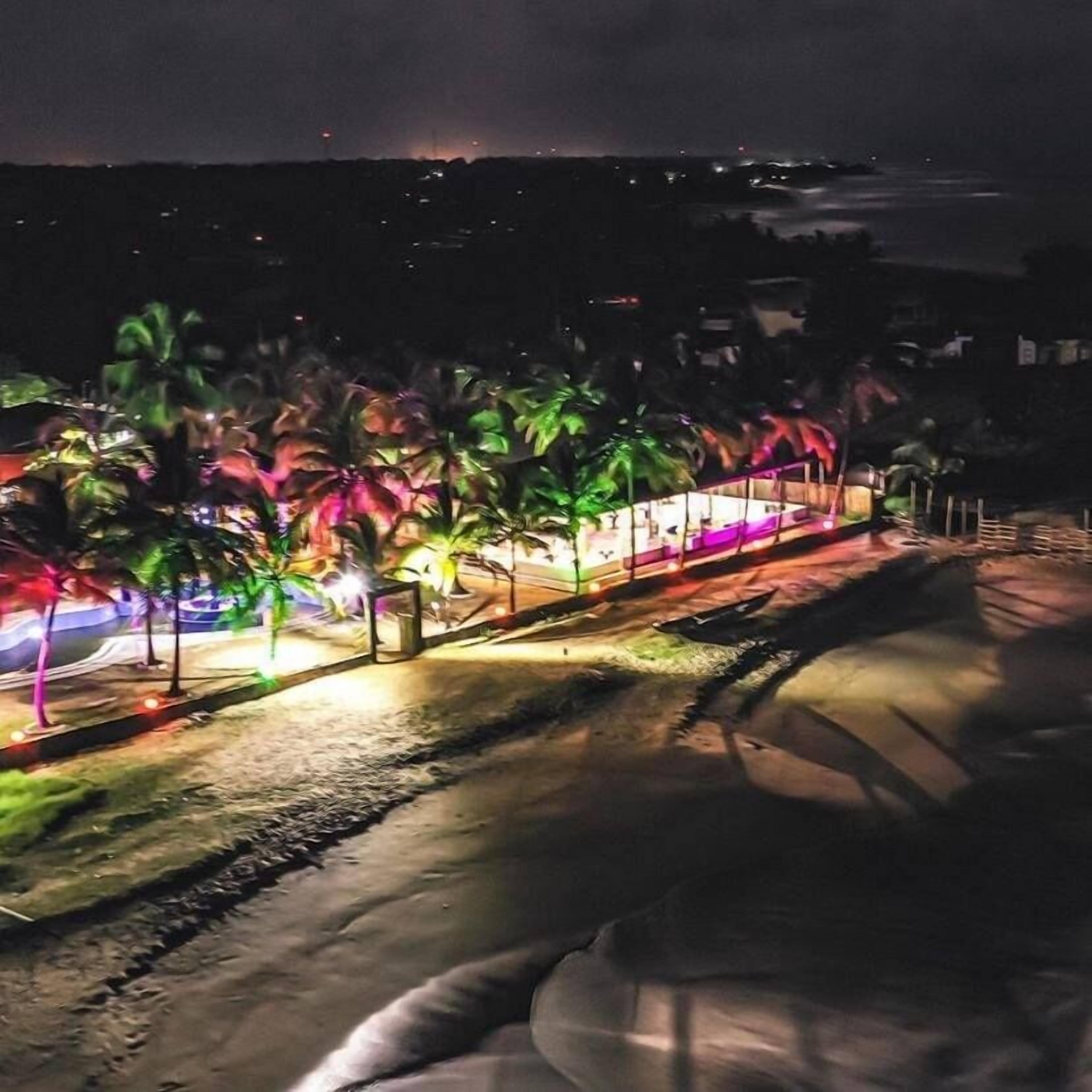A nighttime view of a landscaped area with palm trees and a pathway.