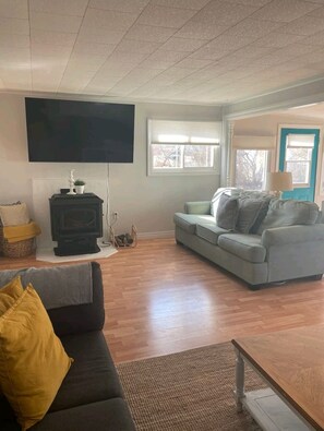Smart TV, chimenea, reproductor de DVD y libros 
