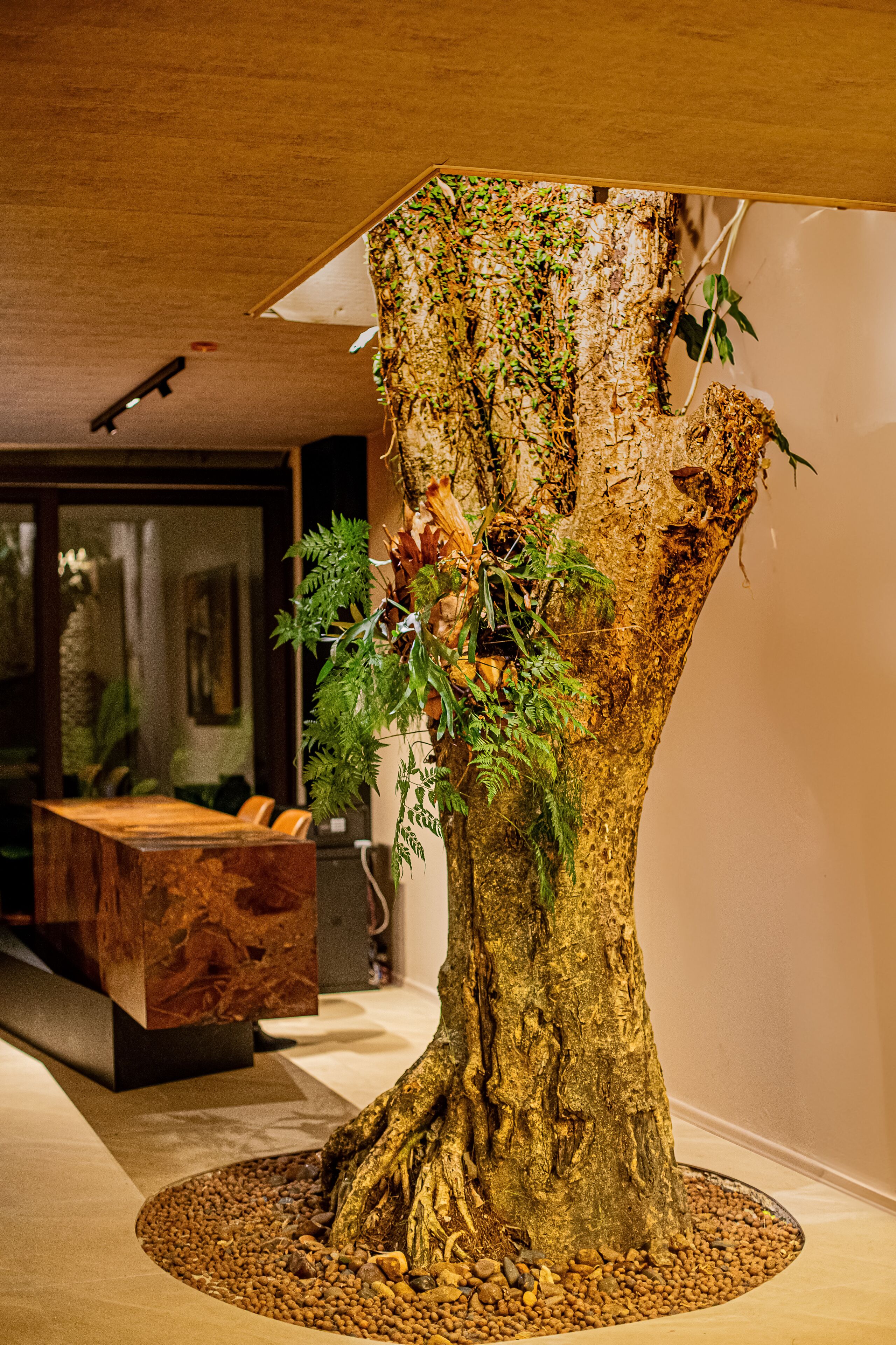 A tree-shaped table with a natural design, surrounded by a pebble base, in a room with a wooden floor and a modern interior.