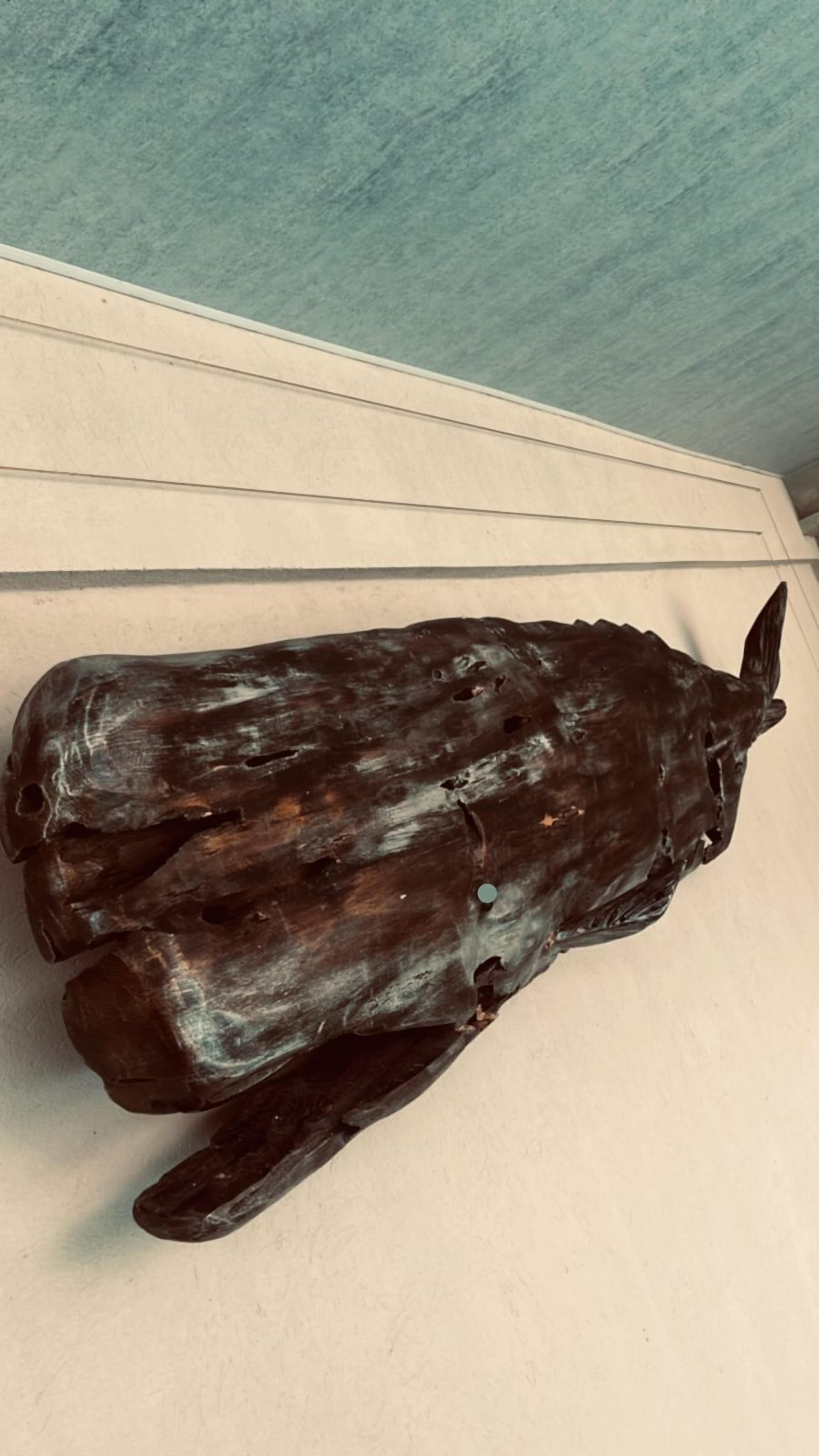 A sculpture of a cow lying down on a wall.