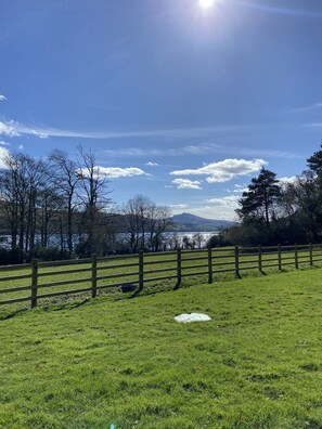 Property grounds - Victorian stone mansion in extensive grounds overlooking Bala Lake (Bala)