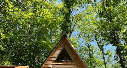 Cabin in Maine Woods-The Bogey