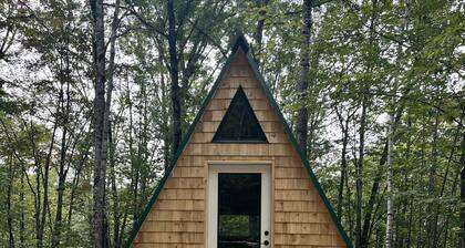 Cabin in Maine Woods-The Beech