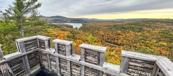 Cabin in Maine Woods-The Beech