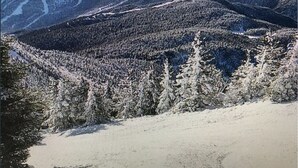 Un paysage montagneux avec des arbres couverts de neige et un ciel dégagé.