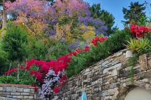 Property grounds - AdeleBeppe Seaview (IMPERIA)