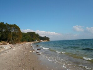 A beach with a rocky shoreline, calm sea, and trees in the background. - Ferienwohnung 6 (Broager)