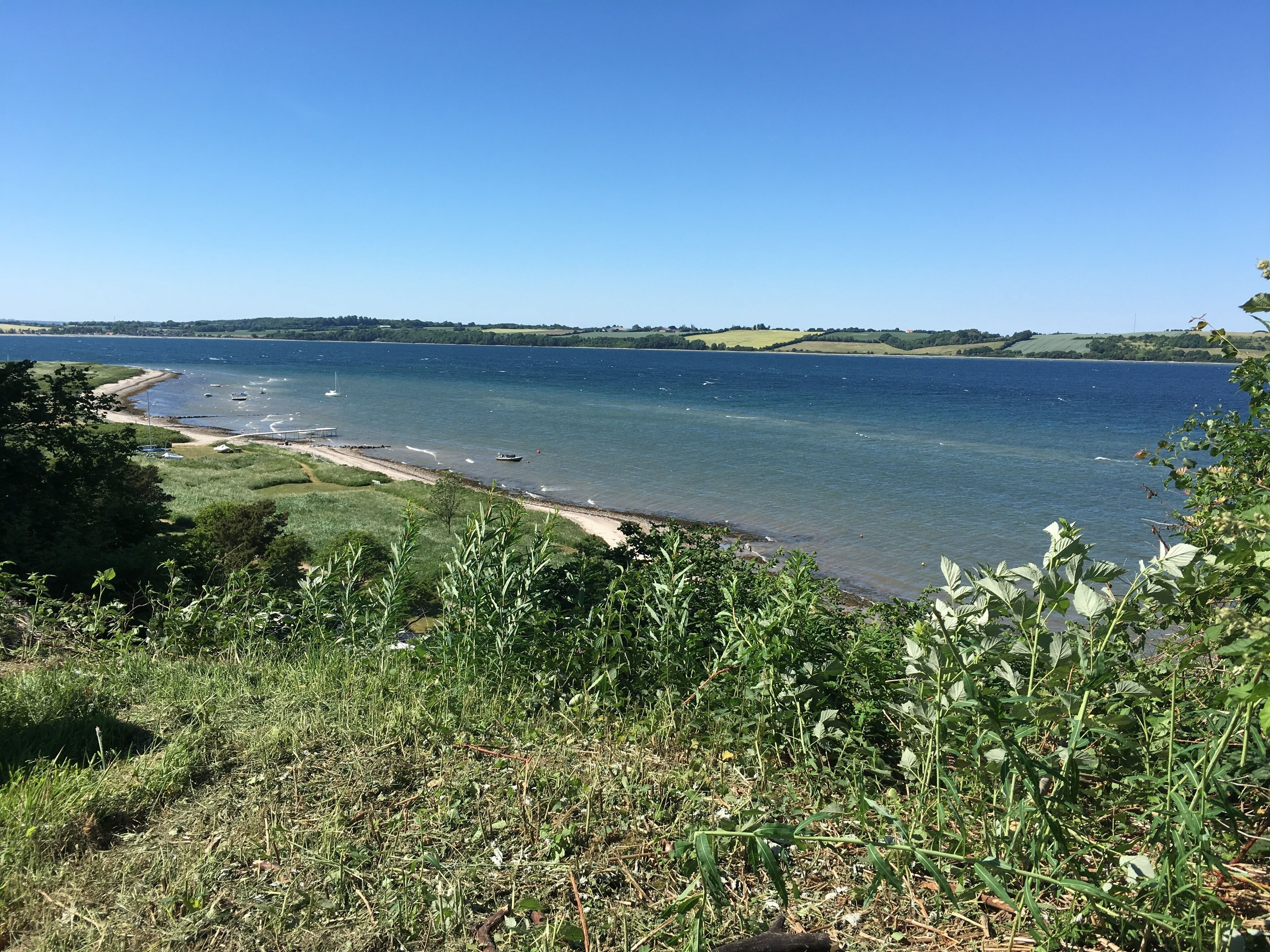 Un paysage côtier avec une plage, des bateaux et de la végétation.