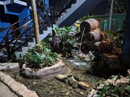 华丽客房 | 花园景观