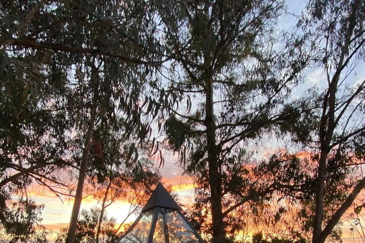 A tent with a bed inside, surrounded by trees and a sunset in the background.