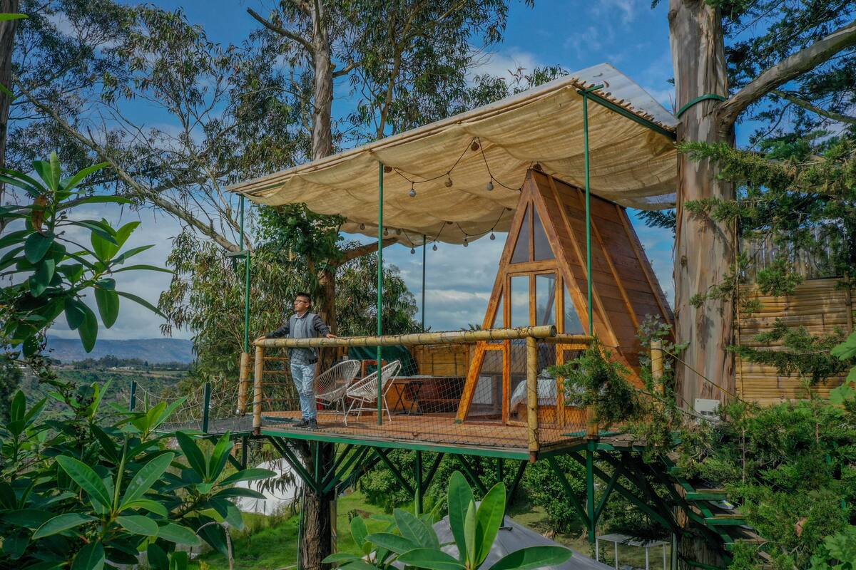 Signature Tree House, 1 Bedroom