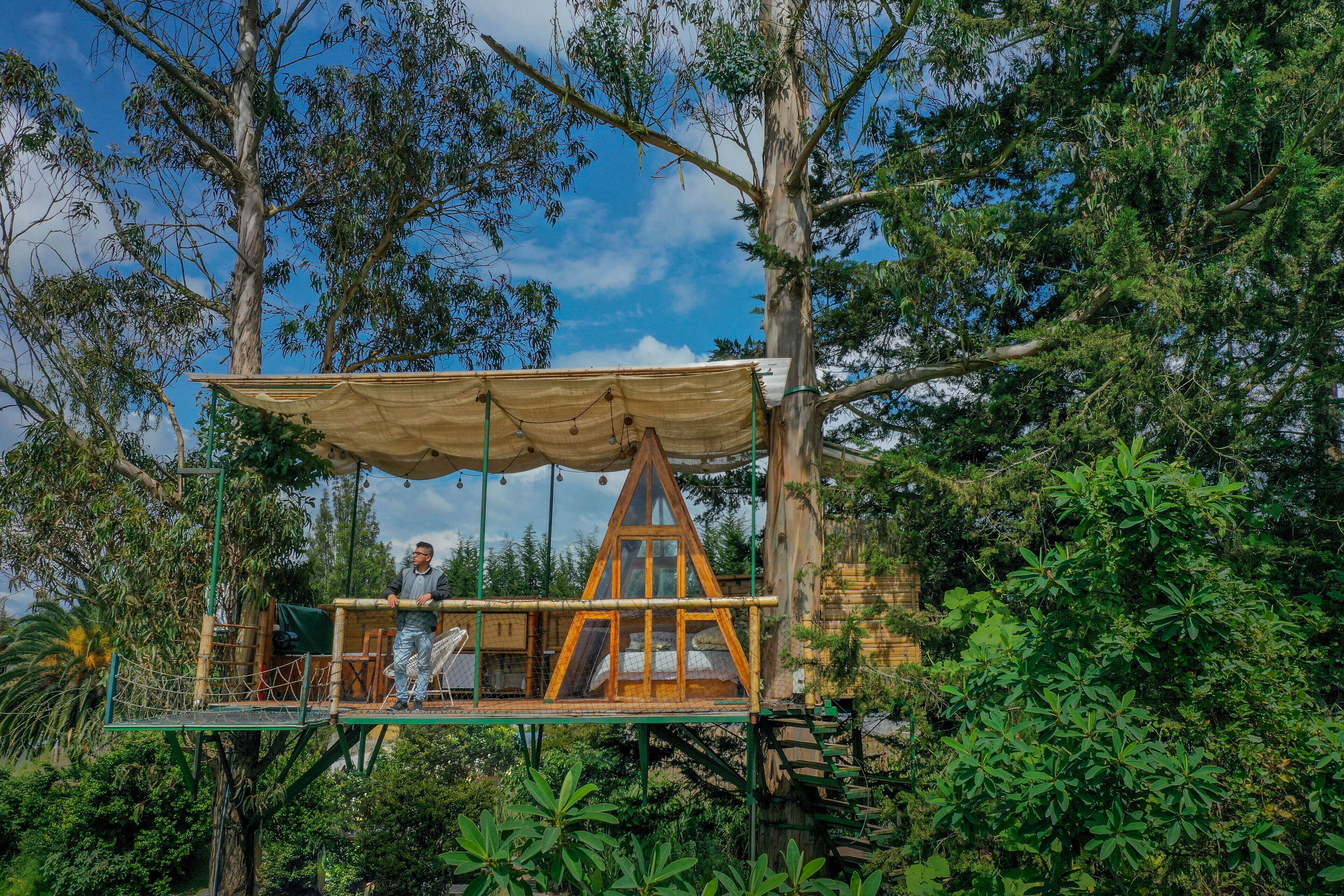 A treehouse with a wooden platform, a canopy, and a rope ladder.