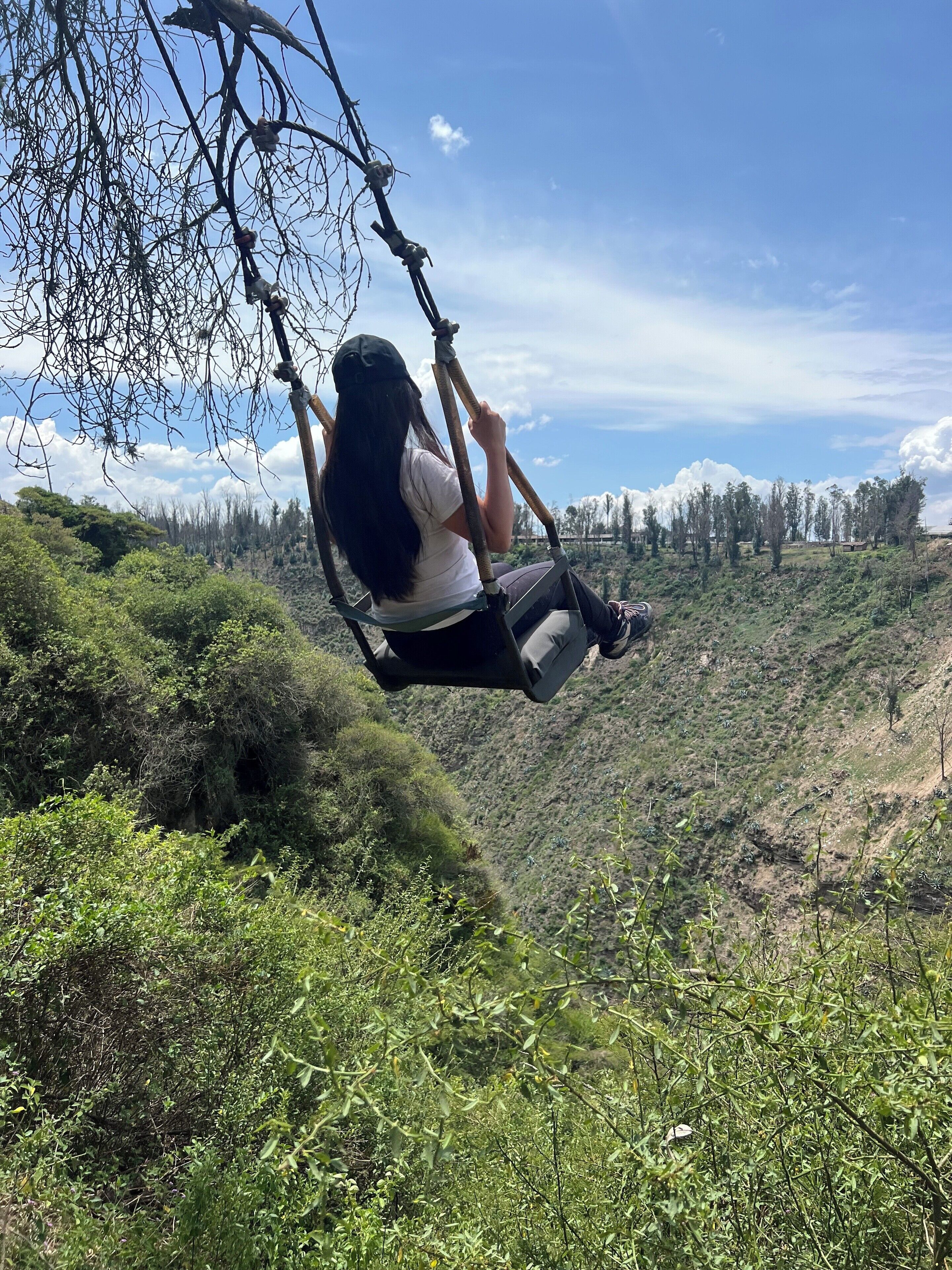 A person on a swing overlooking a hilly landscape with trees and a clear sky.
