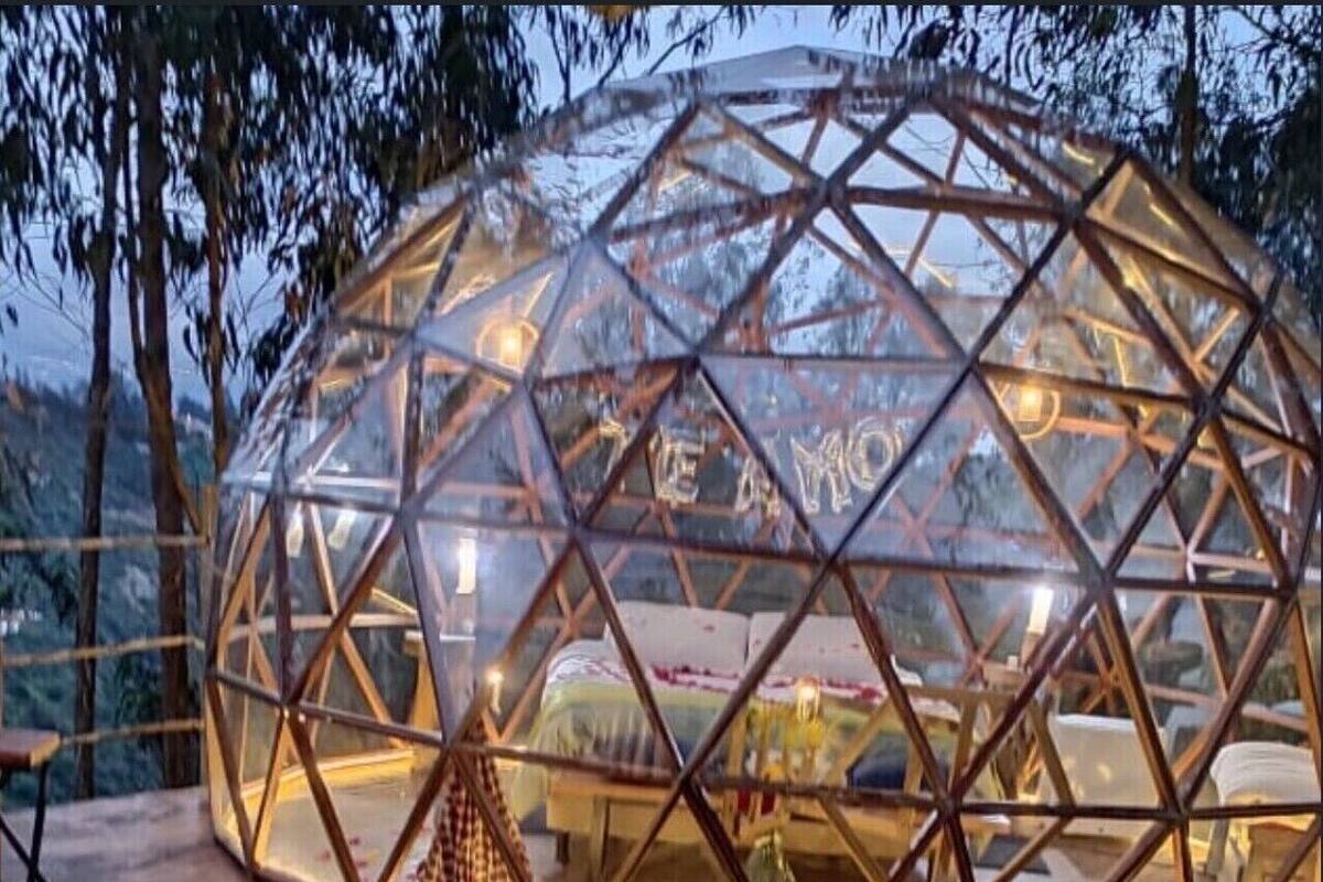 Signature Villa, 1 Bedroom