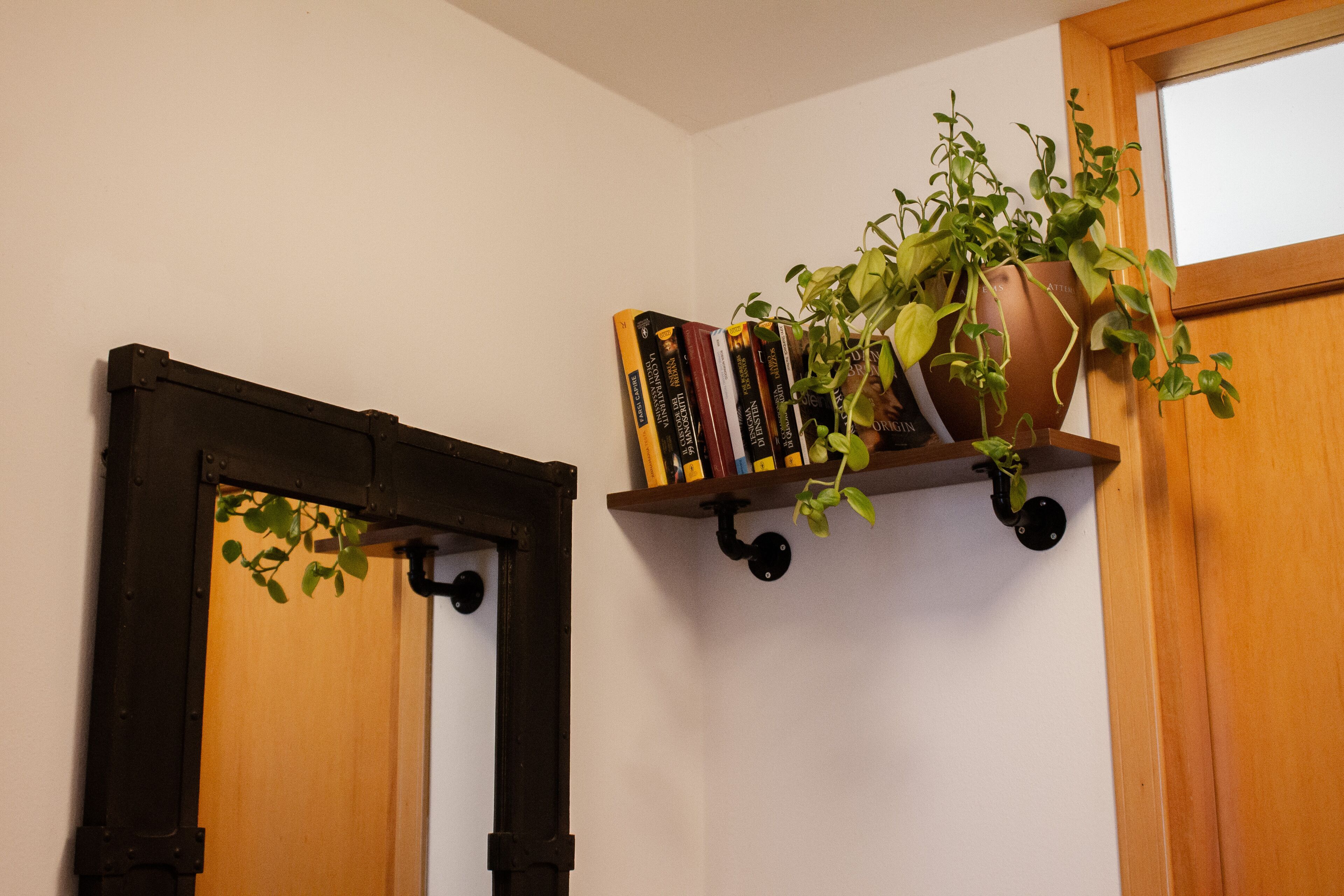 Een boekenplank met boeken en een potplant.