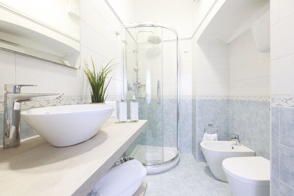Shower, hair dryer, bidet, towels