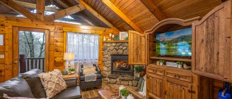 Smart TV, chimenea y reproductor de DVD