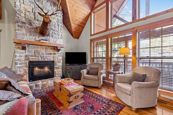 Älytelevisio, takka, kirjoja