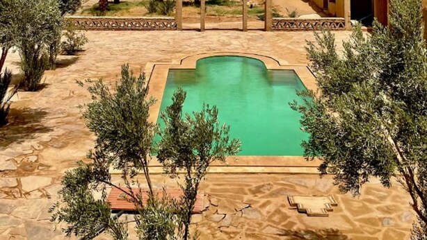 Un patio con piscina, palmeras y colinas desérticas al fondo.