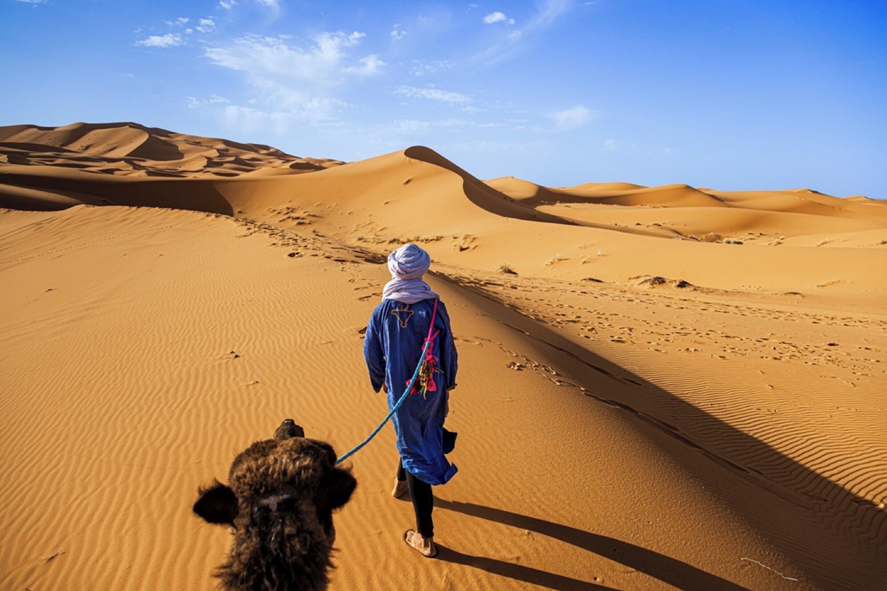 A desert landscape with sand dunes and a person walking a dog.