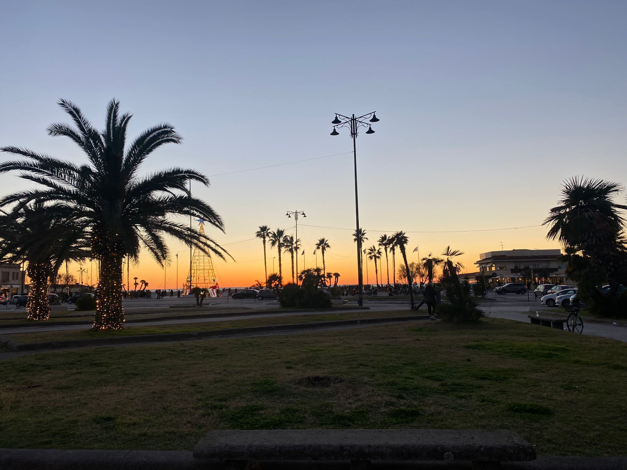 Une vue au coucher du soleil, avec des palmiers et une grande roue en arrière-plan.