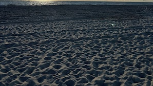 A beach with a clear sky and the sun setting or rising.
