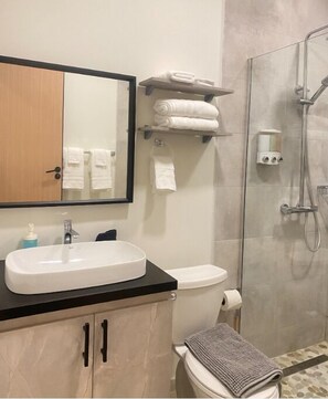Secadora de cabello, toallas, shampoo, papel de baño 