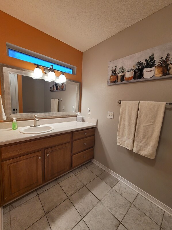A bathroom with a vanity, sink, and mirror. There are towels hanging on the wall and a shelf with potted plants. - Clean, Spacious. Newly renovated Garden Home in the heart of Pensacola.  (Pensacola)